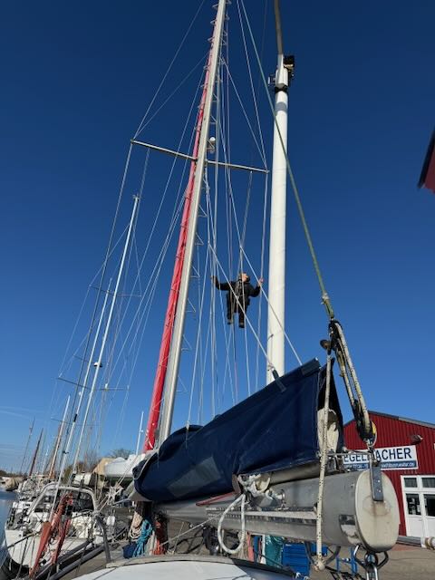 Professioneller Riggcheck in Greifswald